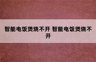 智能电饭煲烧不开 智能电饭煲烧不开